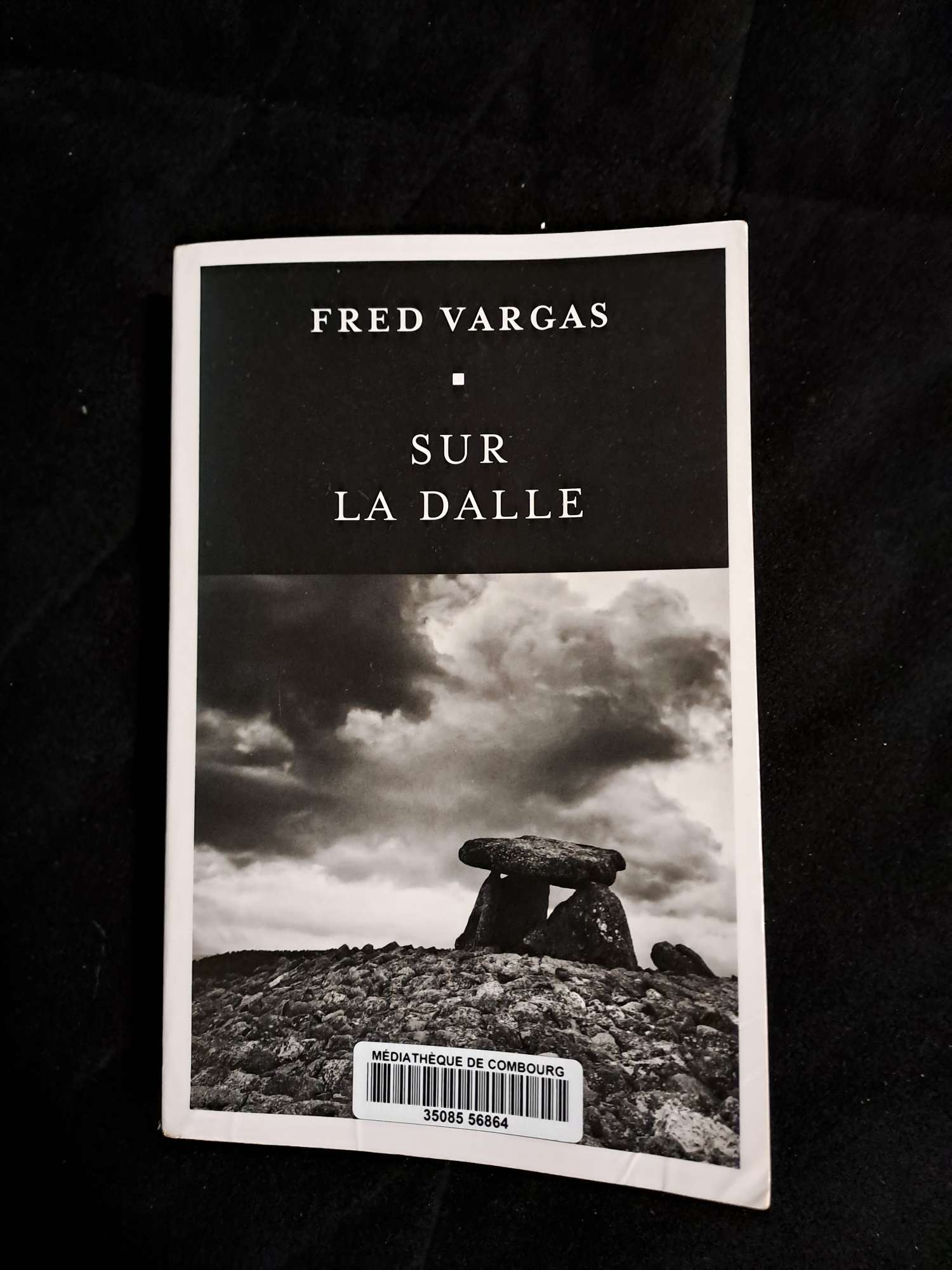 Sur La Dalle Fred Vargas